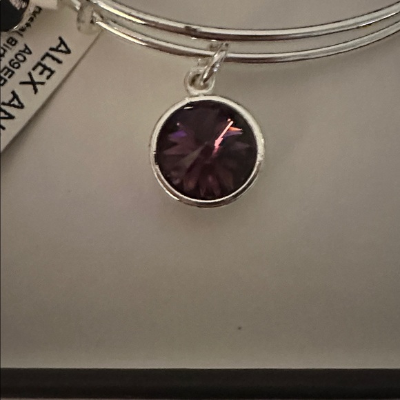 Alex and Ani sterling silver birthstone bangle charm bracelet February - Picture 4 of 4